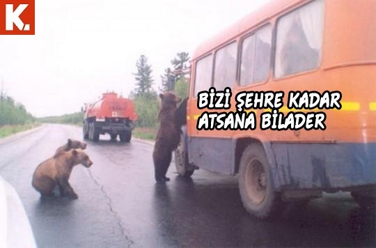 Bu hayvanlar ne konuşuyor? 9