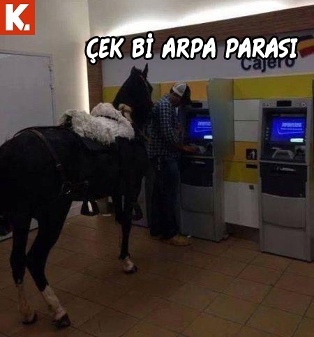 Bu hayvanlar ne konuşuyor? 10