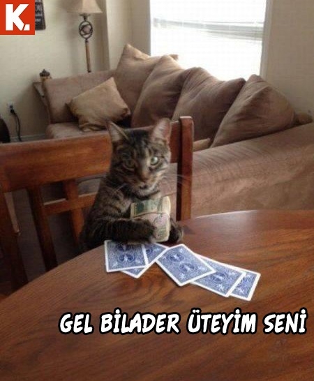 Bu hayvanlar ne konuşuyor? 20