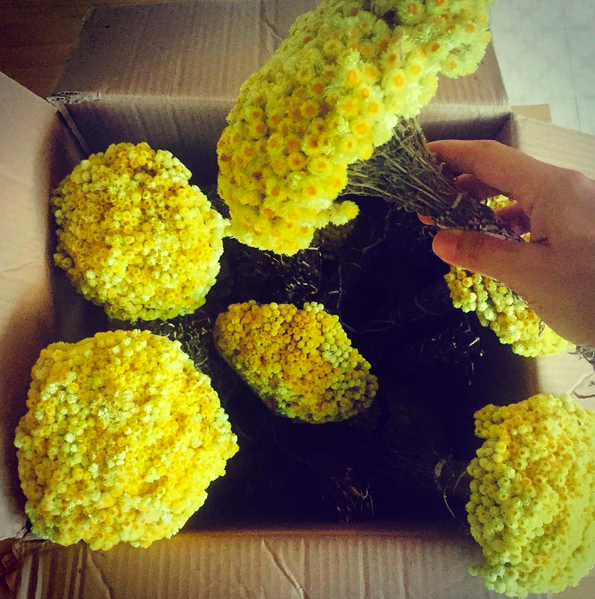 Instagram'da ünlüler: Burak çekti Fahriye yayınladı 12