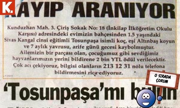 'O' sırada ilanlar 5