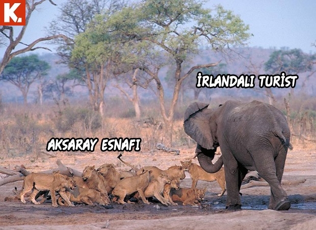 Aksaray esnafına geçmiş olsun ziyareti sosyal medyayı sallıyor 3