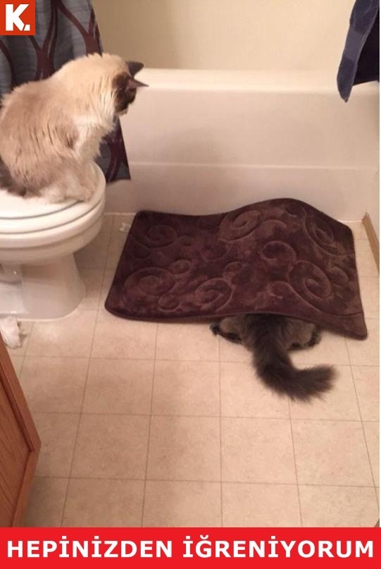 Arkadaşım espri yapınca ben 3