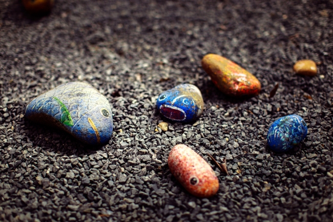 26 muhteşem balık fotoğrafı 15