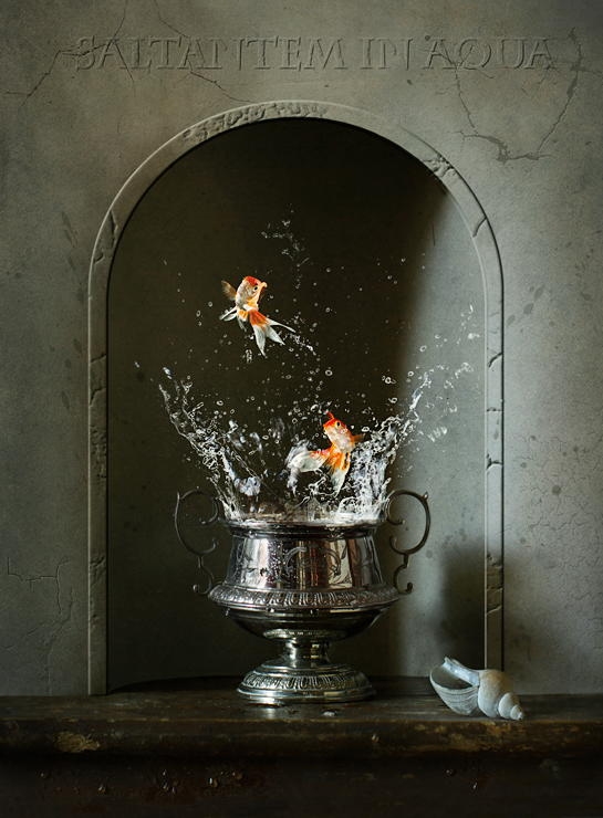 26 muhteşem balık fotoğrafı 17