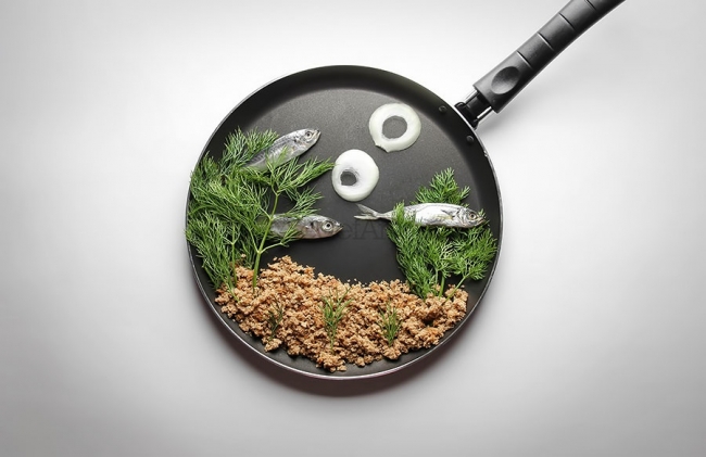 26 muhteşem balık fotoğrafı 8