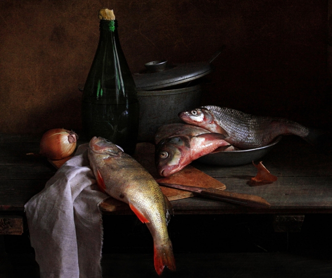 26 muhteşem balık fotoğrafı 9