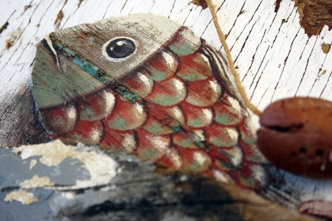 26 muhteşem balık fotoğrafı 13