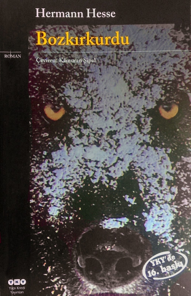 En sürükleyici 29 kitap 8