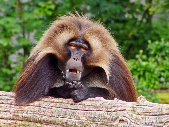 Kim Milyoner Olmak İster'den ilginç sorular 9