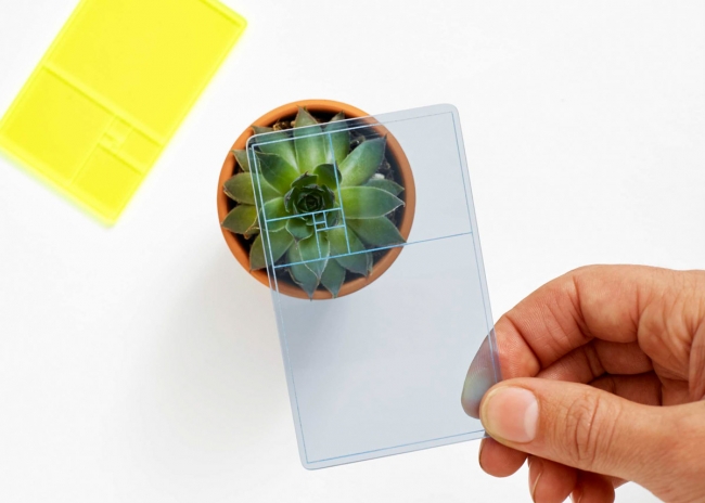 Altın oranı ölçmek hiç bu kadar kolay olmamıştı! 1