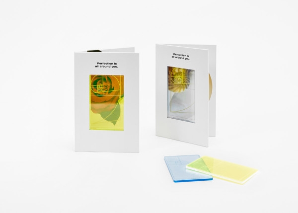 Altın oranı ölçmek hiç bu kadar kolay olmamıştı! 10