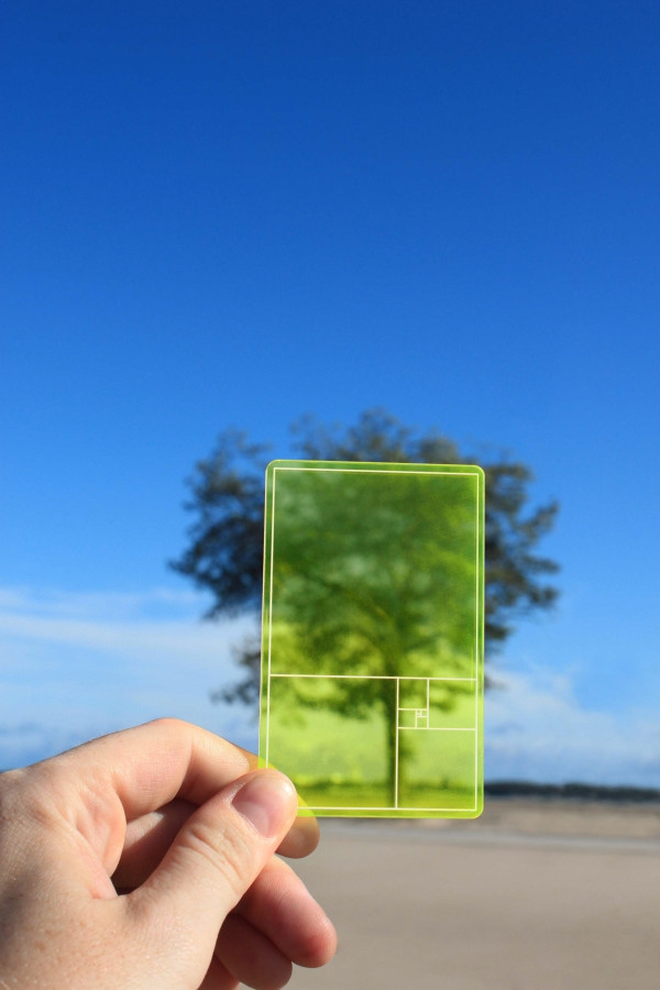 Altın oranı ölçmek hiç bu kadar kolay olmamıştı! 2