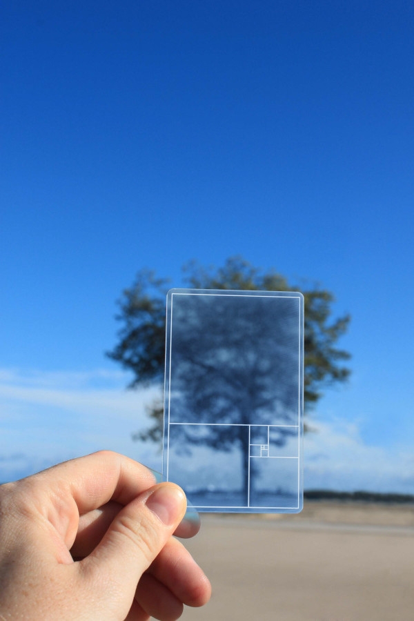 Altın oranı ölçmek hiç bu kadar kolay olmamıştı! 8