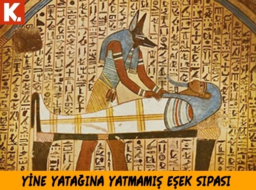 Hiyeroglif Capsler 1