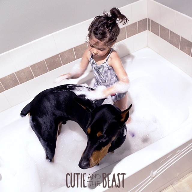 Üç yaşındaki Siena'nın Doberman ile muhteşem dostluğu 10