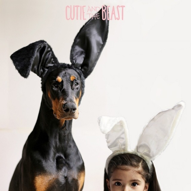 Üç yaşındaki Siena'nın Doberman ile muhteşem dostluğu 11