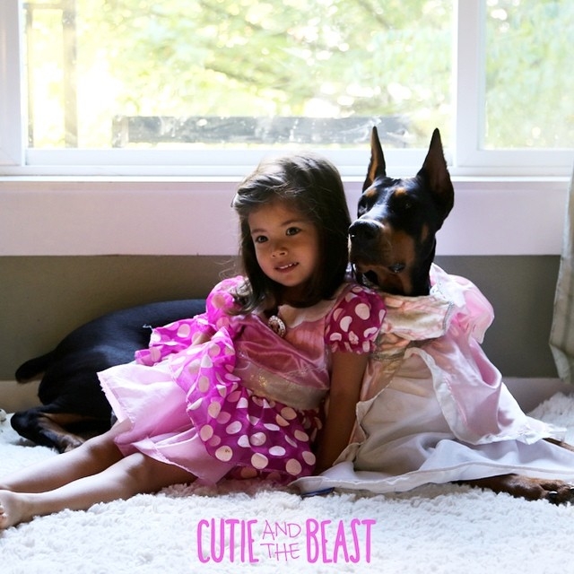 Üç yaşındaki Siena'nın Doberman ile muhteşem dostluğu 12