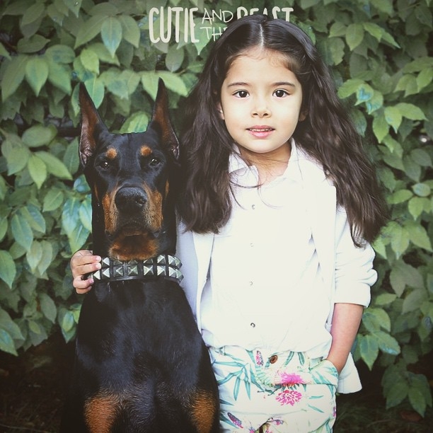 Üç yaşındaki Siena'nın Doberman ile muhteşem dostluğu 14