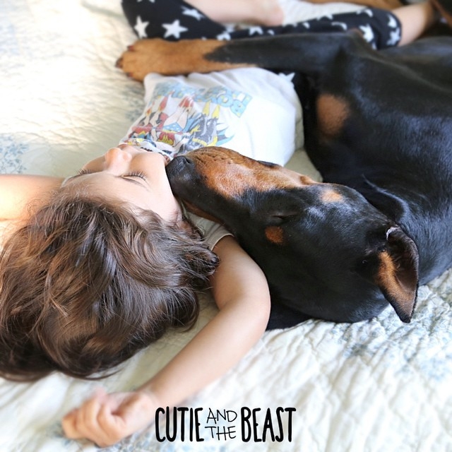 Üç yaşındaki Siena'nın Doberman ile muhteşem dostluğu 2