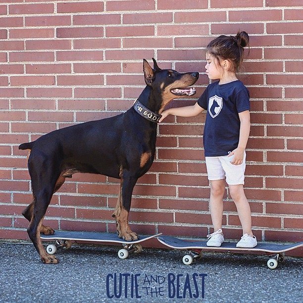 Üç yaşındaki Siena'nın Doberman ile muhteşem dostluğu 3