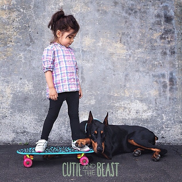 Üç yaşındaki Siena'nın Doberman ile muhteşem dostluğu 4