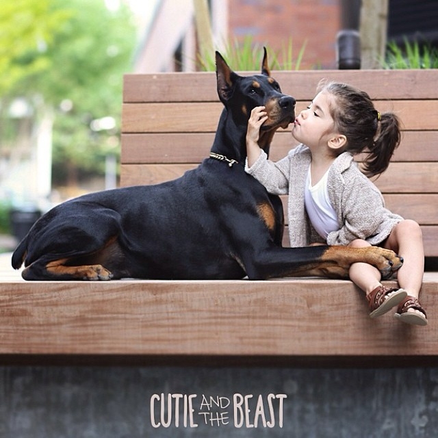 Üç yaşındaki Siena'nın Doberman ile muhteşem dostluğu 5