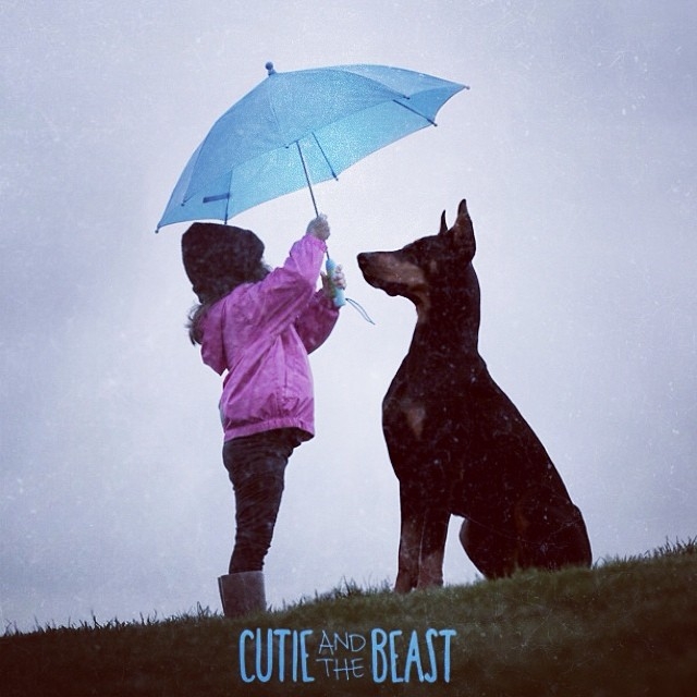 Üç yaşındaki Siena'nın Doberman ile muhteşem dostluğu 8