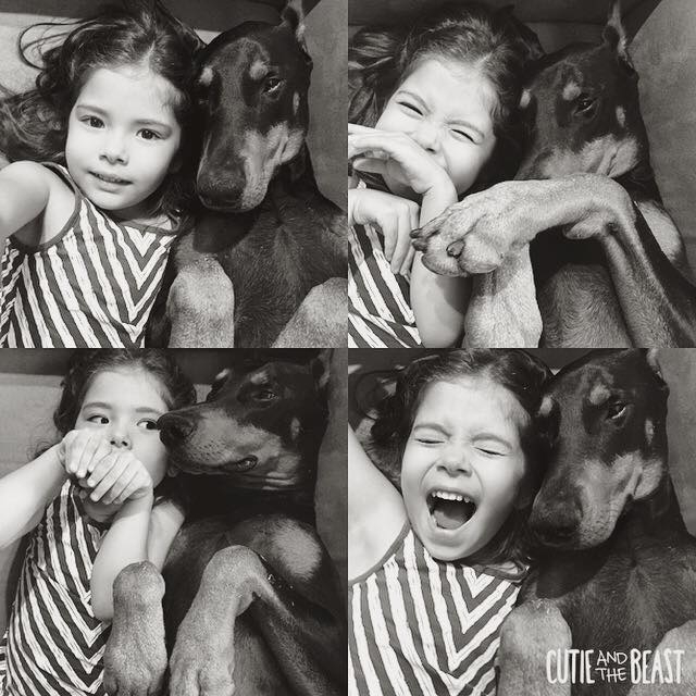 Üç yaşındaki Siena'nın Doberman ile muhteşem dostluğu 9