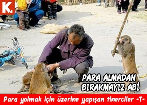 Haftanın konuşan hayvanları 6