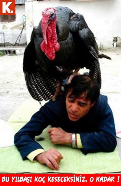 Haftanın konuşan hayvanları 7