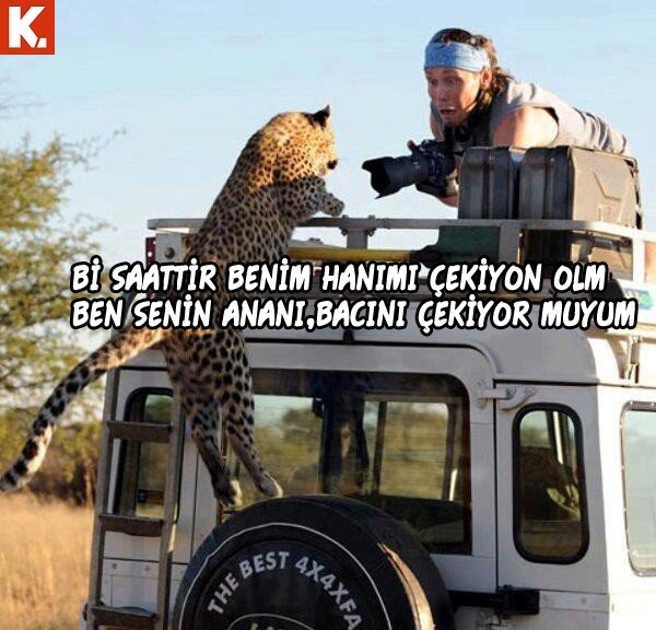 Haftanın konuşan hayvanları 13