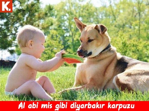 Haftanın konuşan hayvanları 15