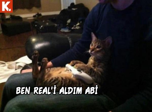 Haftanın konuşan hayvanları 16