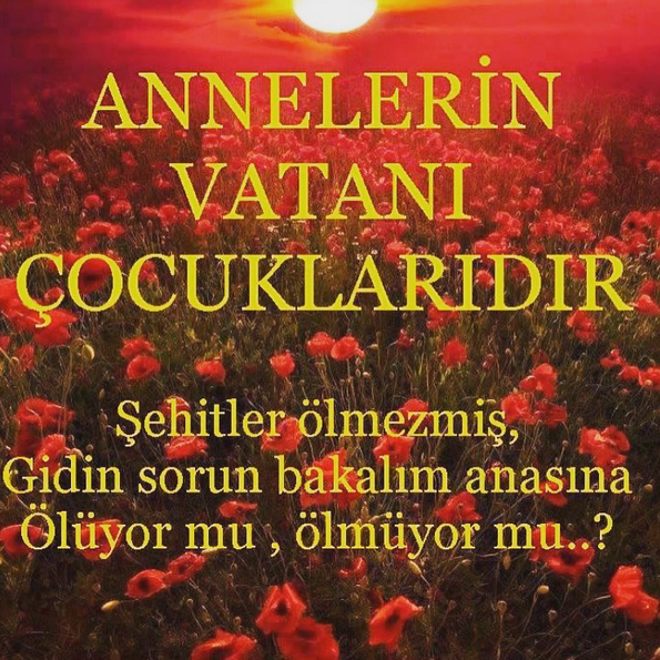 Instagram'da ünlüler: Bir şey yok paylaşacak yastan başka 2