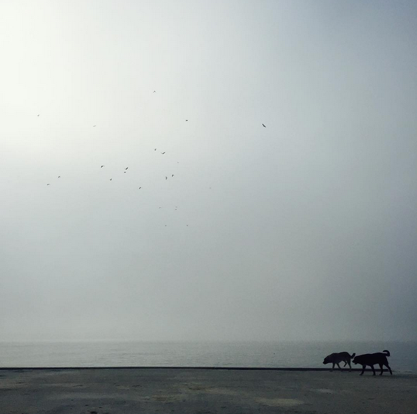 Instagram'da ünlüler: Son tatiller ve temenniler 19