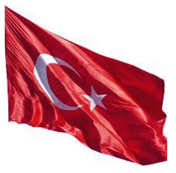 Instagram'da ünlüler: İçimiz yanıyor 18