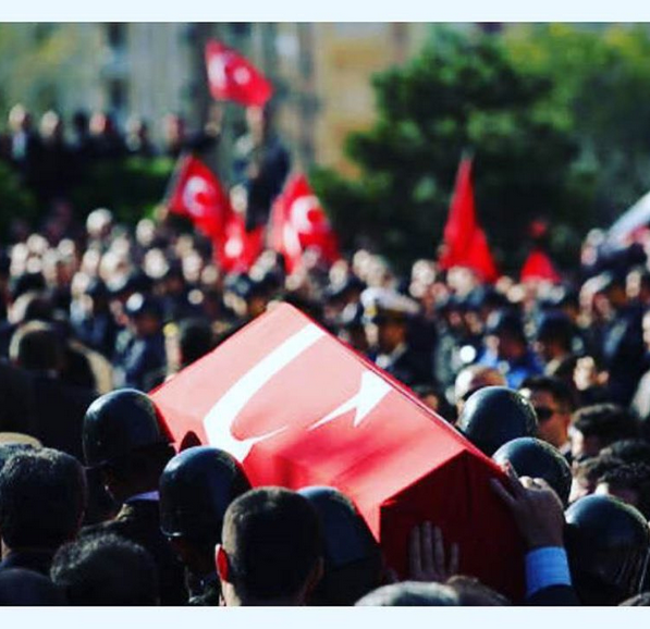 Instagram'da ünlüler: İçimiz yanıyor 4