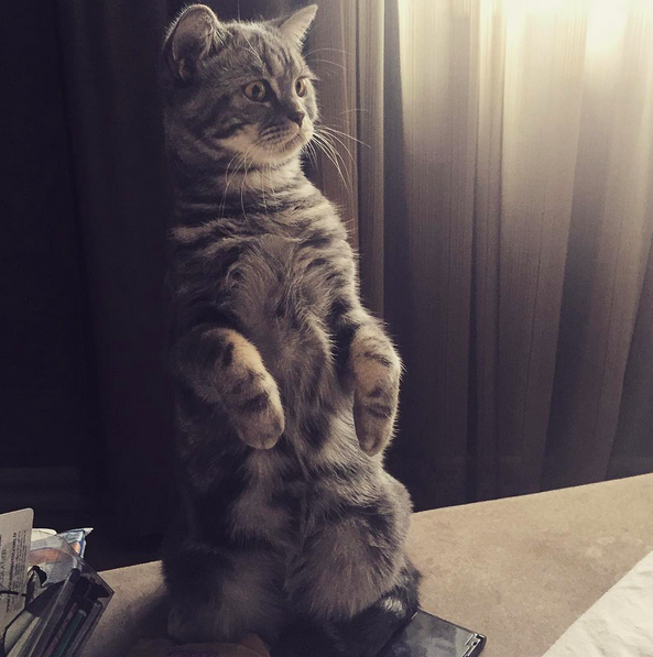 Instagram'da ünlüler: Özge Uzun ve oğlu yeniden başlıyor 4