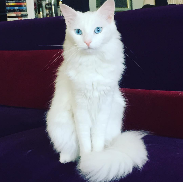 Instagram'da ünlüler: Ünlü oyuncuyu tanıyabildiniz mi? 16