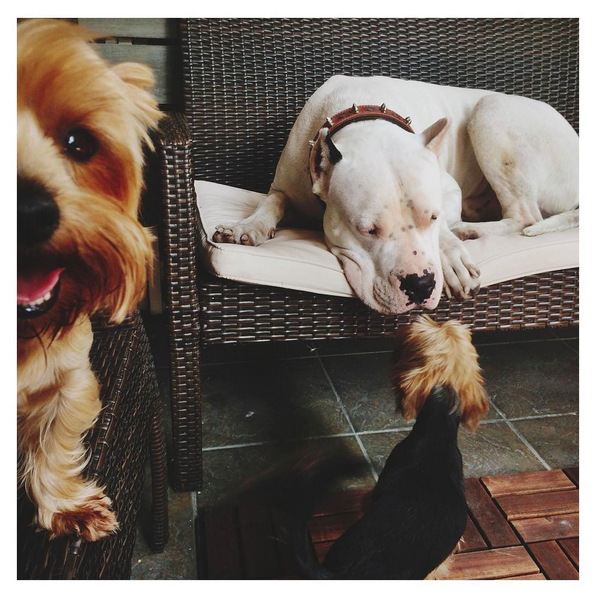 Instagram'da ünlüler: Setlere dönüş 7