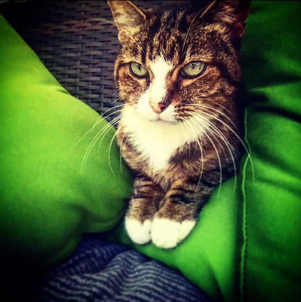 Instagram'da ünlüler: Aslıhan Doğan İspanya'da misafir ağırlıyor 11