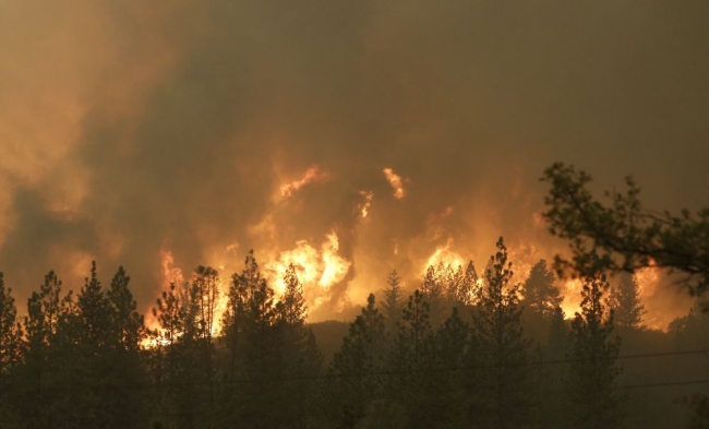 Kaliforniya yangına teslim oldu 1