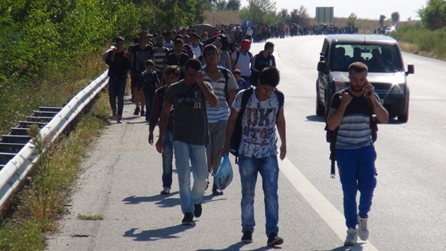 TEM'de mülteci seli! 29