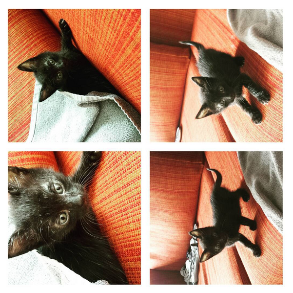 Instagram'da ünlüler: Ebru Şancı Alpaslan Öztürk’le evlendi 10