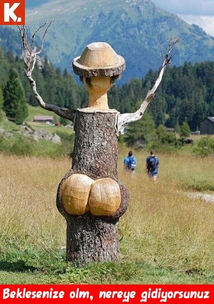 Konuşan eşyalar capsleri 16