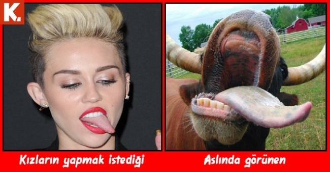 Hayaller ve Gerçekler capsleri 8