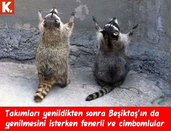 Fenerbahçe Molde maçı capsleri 17