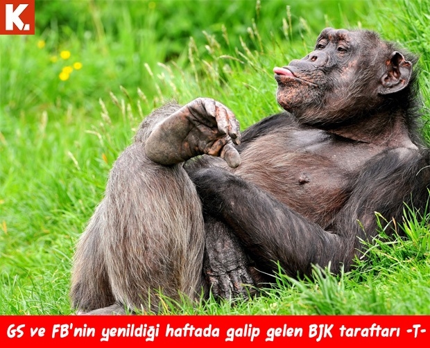 Fenerbahçe Molde maçı capsleri 25