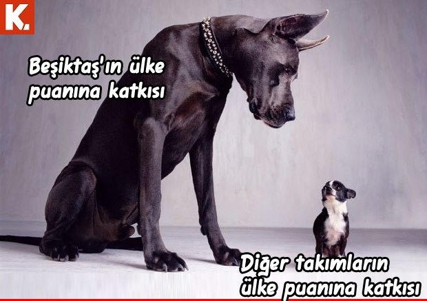 Fenerbahçe Molde maçı capsleri 28